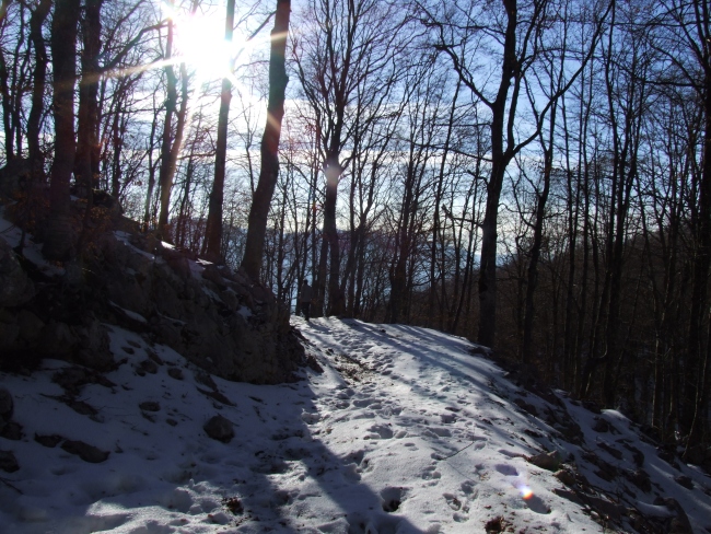 Versante laziale del Parco Nazionale d''Abruzzo